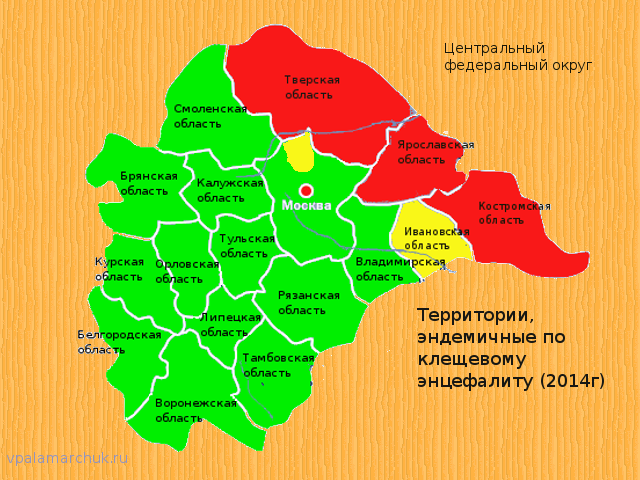карта эндемичных районов центрального федерального округа (ЦФО)