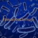 Faecalibacterium  — самая распространенная бактерия в кишечнике