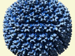 Цитомегаловирусный колит:  к чему приводит «пробудившийся» вирус
